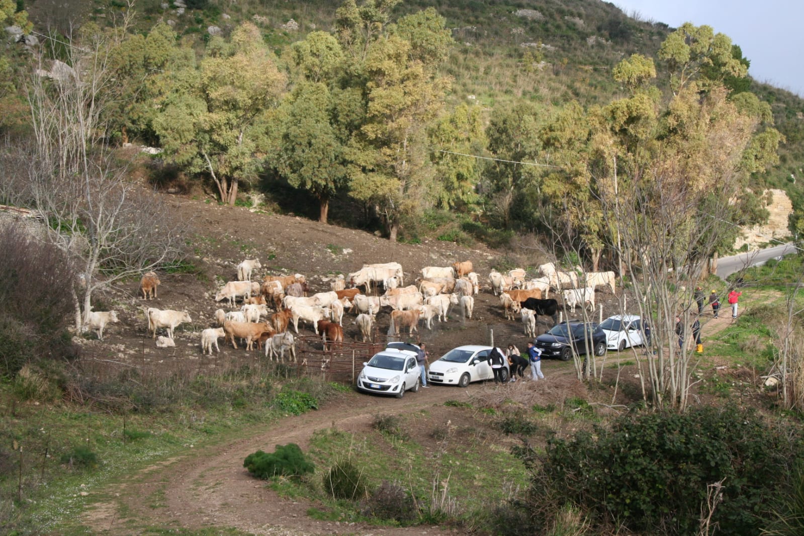 IMG-20220206-WA0008
