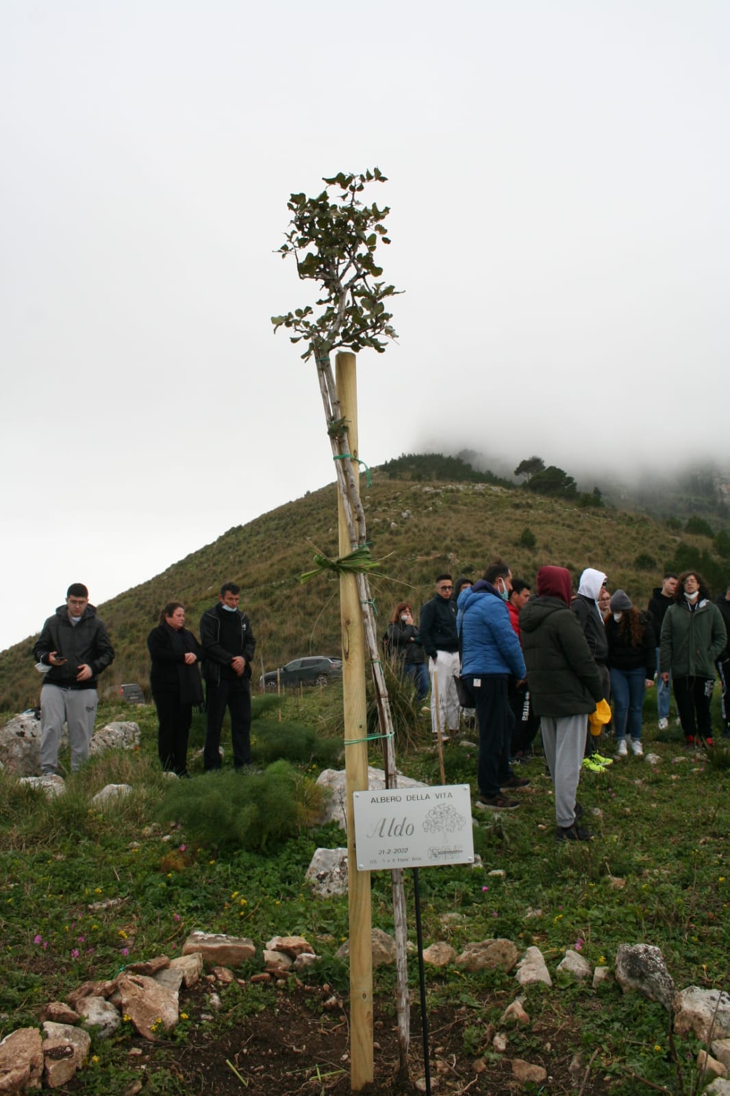 IMG-20220221-WA0002