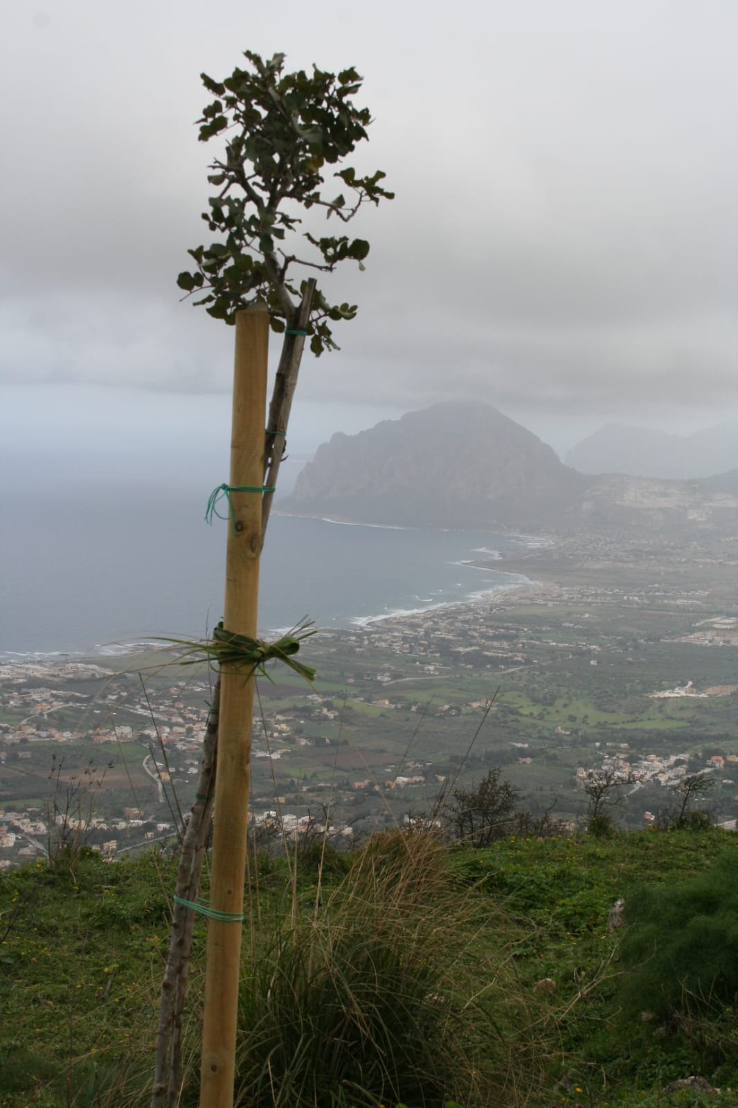 IMG-20220221-WA0004