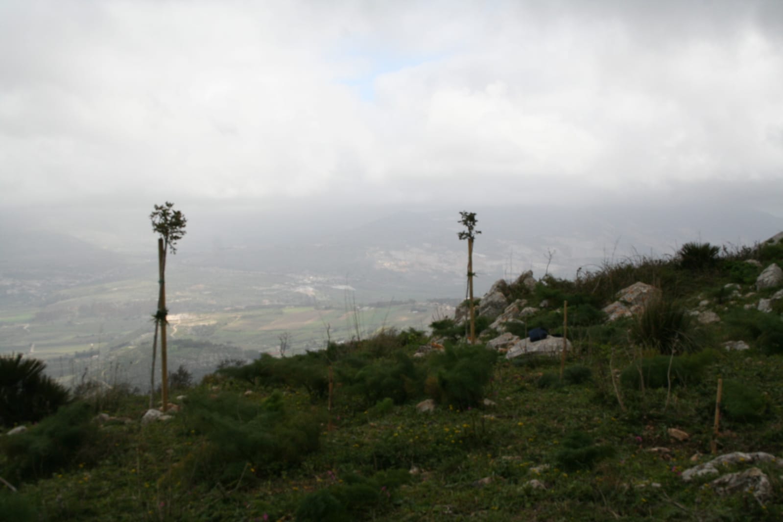 IMG-20220221-WA0006